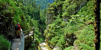 Pensionen - Garten - Steiermark - Burnout Wildalps
