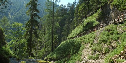 Pensionen - Fahrradverleih - Alpenregion Nationalpark Gesäuse - Burnout Wildalps
