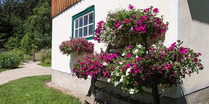 Pensionen - Garten - Steiermark - Haus Moser