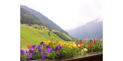 Pensionen - Umgebungsschwerpunkt: am Land - Oberweg (Navis) - Südbalkon mit schöner Blumenpracht - Haus Sarah