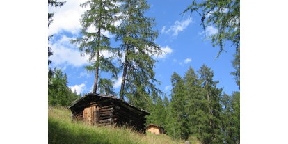Pensionen - Umgebungsschwerpunkt: am Land - Oberweg (Navis) - von Forchach zur Starkenburgerhütte 2007 - Haus Sarah