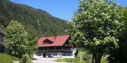 Pensionen - Umgebungsschwerpunkt: Berg - Treffenboden - Pension Thalerhof