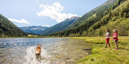 Pensionen - Hunde: hundefreundlich - Kärnten - Eggerhof