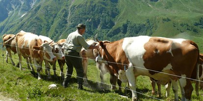 Pensionen - Art der Pension: Urlaub am Bauernhof - Weißbriach - Opa beim Leck-füttern. - Panoramapension Platzer