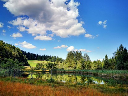 Pensionen - Umgebungsschwerpunkt: Berg - Rußbach - Naturschutzgebiet "Egelsee" 5.min vom Margarethengut - Ferienhof Margarethengut
