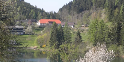 Pensionen - Balkon - Metnitz (Metnitz) - direkt am Kraigersee - Pension Seebichlhof