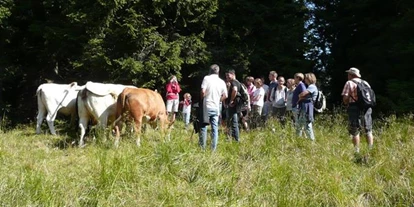 Pensionen - weitere Verpflegungsmöglichkeiten: Mittagessen - Förolach (Hermagor-Pressegger See) - Unsere Kühe auf der Alm. - Waldpension Ranner
