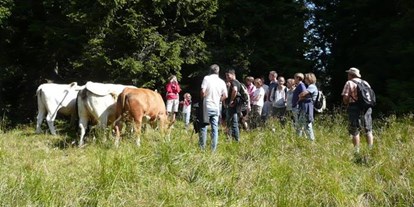 Pensionen - Spielplatz - Untergratschach - Unsere Kühe auf der Alm. - Waldpension Ranner