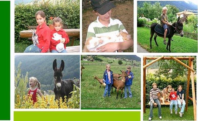 Frühstückspension - Pension Schottenhof