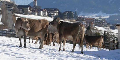 Pensionen - Art der Pension: Urlaub am Bauernhof - Innsbruck - Pension Schottenhof