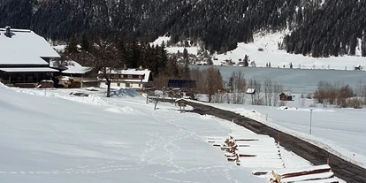 Pensionen - Umgebungsschwerpunkt: am Land - Raufen (Seeboden am Millstätter See) - Wintertag im Februar - Haus Pirkebner
