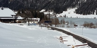 Pensionen - Langlaufloipe - Kärnten - Wintertag im Februar - Haus Pirkebner