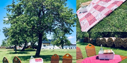 Pensionen - Umgebungsschwerpunkt: am Land - Steyregg - Gastgarten in der Wiese ( Picknick) - Wirt z´Bairing