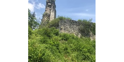 Pensionen - WLAN - Eben (Altmünster) - Wanderung zur Ruine Wildenstein. Man wandert direkt von der Unterkunft weg - Wagnermoosgut