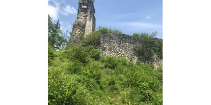Pensionen - Umgebungsschwerpunkt: Berg - Hallstatt - Wanderung zur Ruine Wildenstein. Man wandert direkt von der Unterkunft weg - Wagnermoosgut