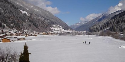 Pensionen - WLAN - Moos in Passeier - Alpenecho