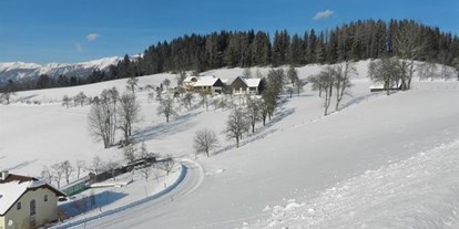 Pensionen - Umgebungsschwerpunkt: Berg - Roßleithen - Gasthof-Pension Moosgierler