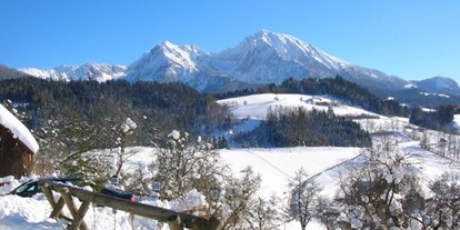 Pensionen - Umgebungsschwerpunkt: Berg - Oberösterreich - Gasthof-Pension Moosgierler