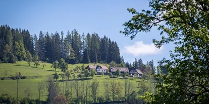 Pensionen - Garten - Dambach (Rosenau am Hengstpaß) - Gasthof-Pension Moosgierler