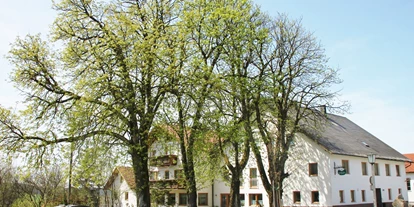 Pensionen - Umgebungsschwerpunkt: Berg - Untergriesbach (Landkreis Passau) - Gasthof Pension "Zum Haugstein"