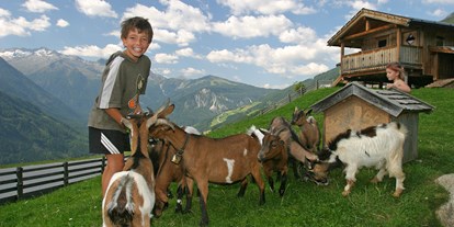 Pensionen - Umgebungsschwerpunkt: am Land - Mayrhofen (Mittersill) - Ziegen - Pension Sonneck KG