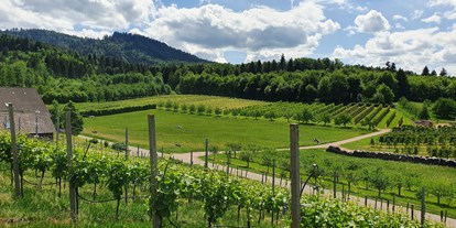 Pensionen - Fahrradverleih - Lautenbach - Sommer - Blick auf unsere Obstgärten - Gästehaus Wörner