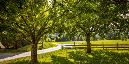 Pensionen - Art der Pension: Urlaub am Bauernhof - Weyer (Bramberg am Wildkogel) - Obstbäume - Obertrattenbachhof