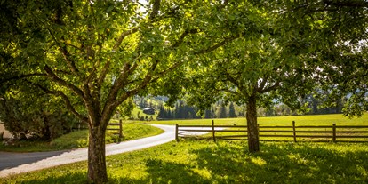 Pensionen - Art der Pension: Urlaub am Bauernhof - Obstbäume - Obertrattenbachhof