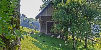 Pensionen - Frühstück: serviertes Frühstück - Dorf (Scharnstein) - Ferienhof Bruderhof