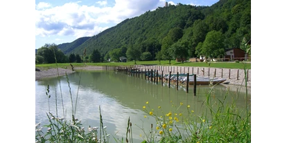 Pensionen - Pool - Baumühl - Zillenhafen Witti an der Donau - Donautraum-Blick  Bio -  Eselgut