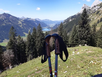 Pensionen - Umgebungsschwerpunkt: See - Füssen - Wandern Bergwelt Hahnenkamm - KOMFORT-FEWO BERGWELT HAHNENKAMM   - Lechtal - So/Wi