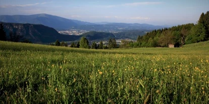Pensionen - Ferndorf - Naturgut Gailtal