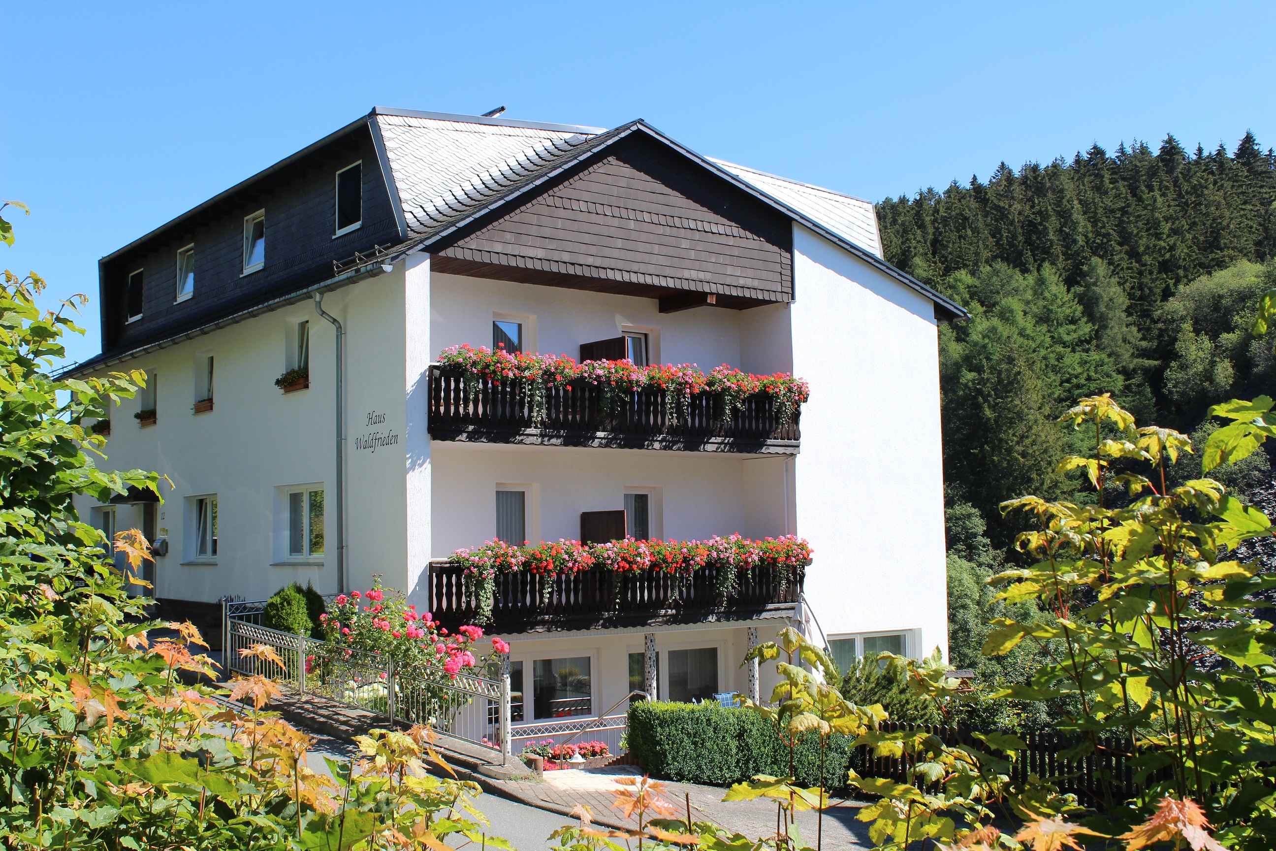 Frühstückspension - Pension Haus Waldfrieden
 - Pension Haus Waldfrieden
