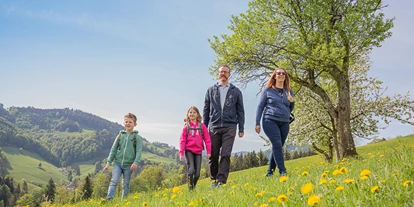 Pensionen - Art der Pension: Urlaub am Bauernhof - Dambach (Rosenau am Hengstpaß) - Ferienhof Pfaffenlehen