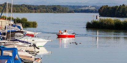 Pensionen - WLAN - die Donau mit Blick über den schönen kleinen Hafen von Au an der Donau - Pension Au an der Donau