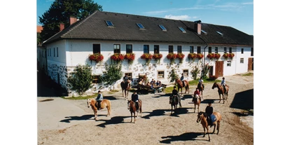 Pensionen - Kühlschrank - Oberweitrag - Reiterhof mit 5 Gästezimmern und 3 Ferienwohnungen - Frühstückspension - Reiterhof Stöglehner