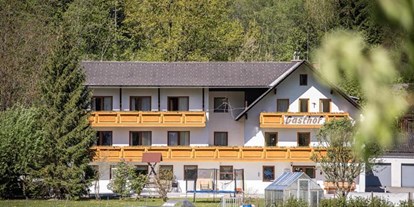 Pensionen - Balkon - Hausmanning (Schlierbach, Oberschlierbach) - Gasthof Pension Kaspar
