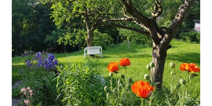 Pensionen - Deutschland - Unser naturnaher Garten im Frühsommer. - Pension Rau