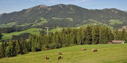 Pensionen - weitere Verpflegungsmöglichkeiten: Abendessen - Breitenau (Molln) - Almresort Baumschlagerberg