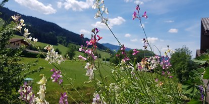 Pensionen - WLAN - Ramsau am Dachstein - https://ferienpensionen.info/Media/Default/Gallery/470575/470772.jpg - Apartment Steira.wohn.zimmer