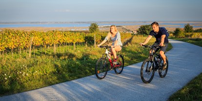 Pensionen - Fahrradverleih - Neudörfl (Neudörfl) - Radweg durch die Weingärten in der Umgebung vom Mörbisch - Weingut Franz Schindler