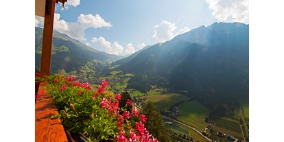 Pensionen - Art der Pension: Ferienwohnung - Südtirol - Blick Richtung Jaufenpass - Gasthaus Jaufenblick & Ferienhaus Engele