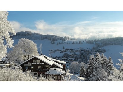 Pensionen - Art der Pension: Frühstückspension - Winter mit Blick nach Osten - Panorama Lodge Sonnenalm Hochschwarzwald