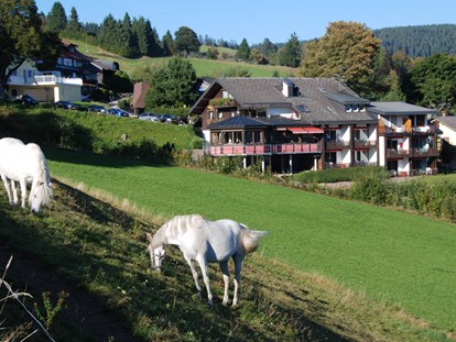 Pensionen - Parkplatz: kostenlos bei der Pension - Panorama Lodge Sonnenalm Hochschwarzwald