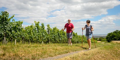 Pensionen - Kühlschrank - Mörbisch am See - Nordic Walking - Pension Kral bike & wine