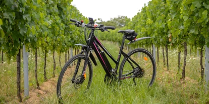 Pensionen - Garten - Bruck an der Leitha - Radweg - Pension Kral bike & wine