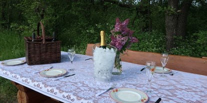 Pensionen - Art der Pension: Urlaubspension - Neudörfl (Neudörfl) - Party Place für Picknick in unseren Weingärten - Pension Kral bike & wine