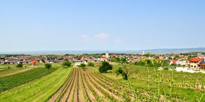 Pensionen - Umgebungsschwerpunkt: See - Kaisersteinbruch - Pension & Weingut Gangl - Ortsansicht - Pension & Weingut Gangl