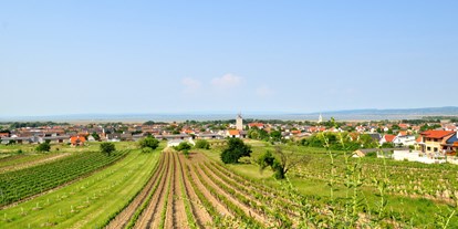Pensionen - Umgebungsschwerpunkt: See - Mörbisch am See - Pension & Weingut Gangl - Ortsansicht - Pension & Weingut Gangl