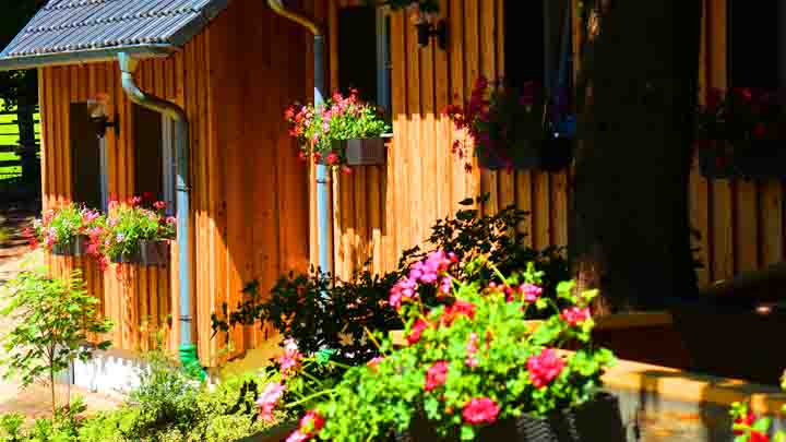 Frühstückspension - Ferienhaus Lilie Hof Stallegg